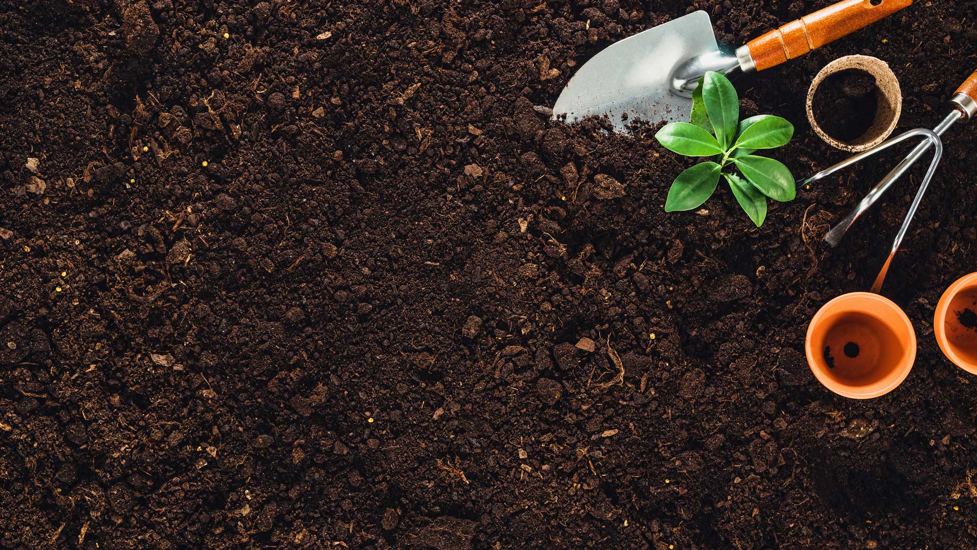 Garden Soil San Antonio Tx Fasci Garden